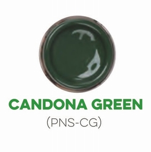 Custom Creative Pinstripe Enamel Candona Green